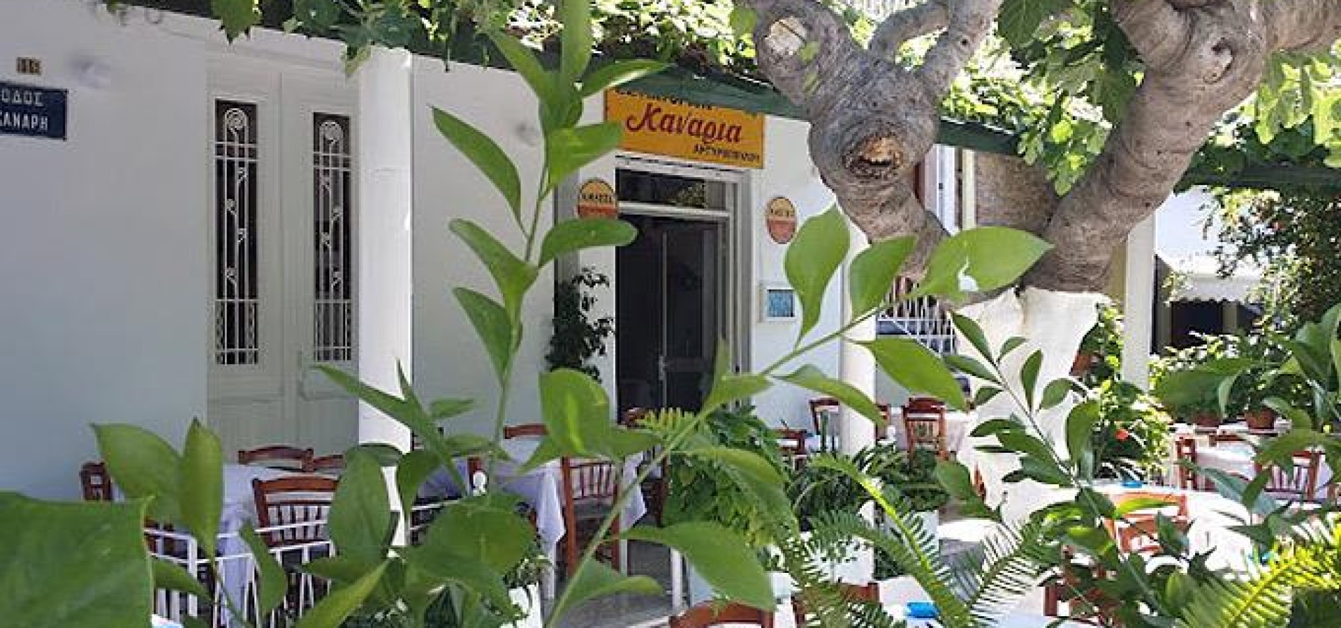 Απρόσμενες αυλές της Αθήνας με υπέροχο φαγητό