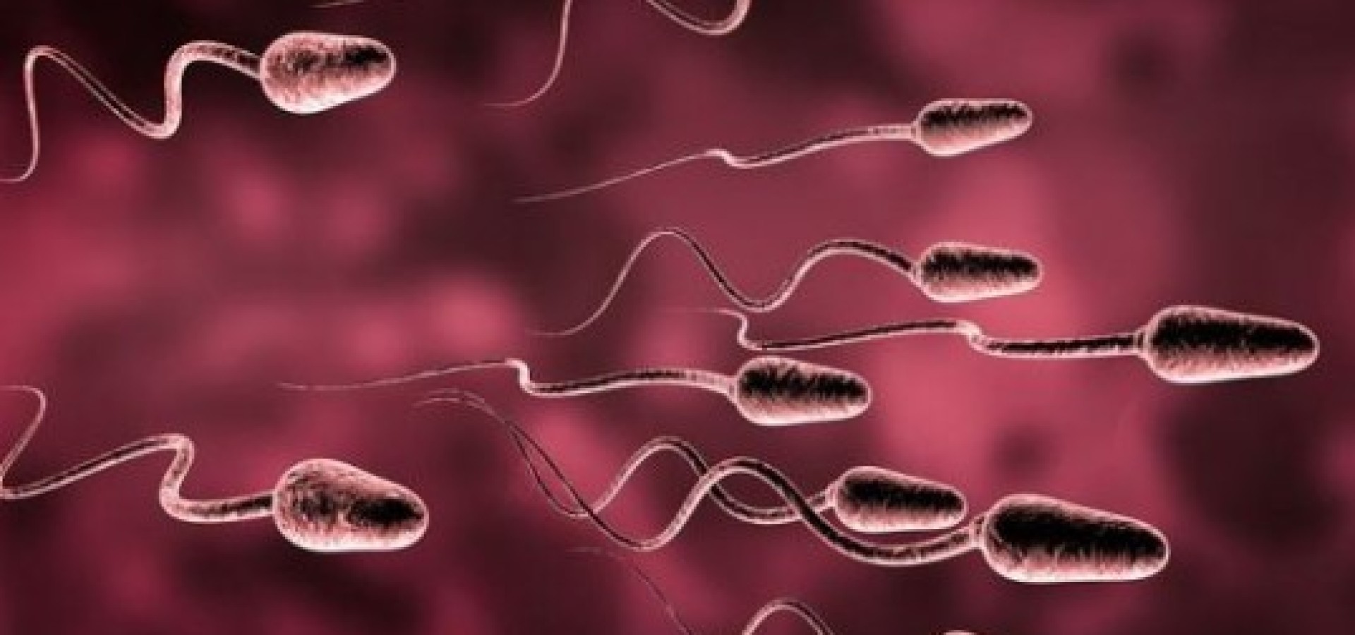 medinova.gr2015-2017 (462 - 22)