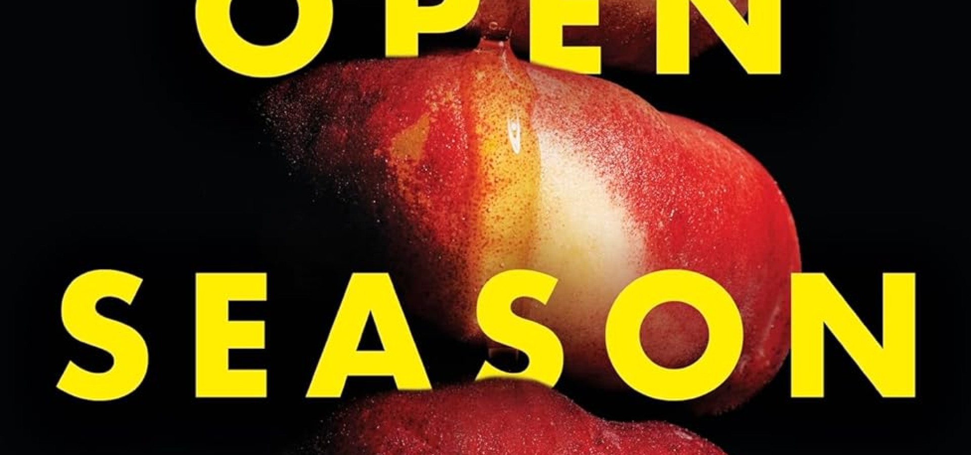 Open Season: A sexy, modern debut as featured on Woman's Hour
