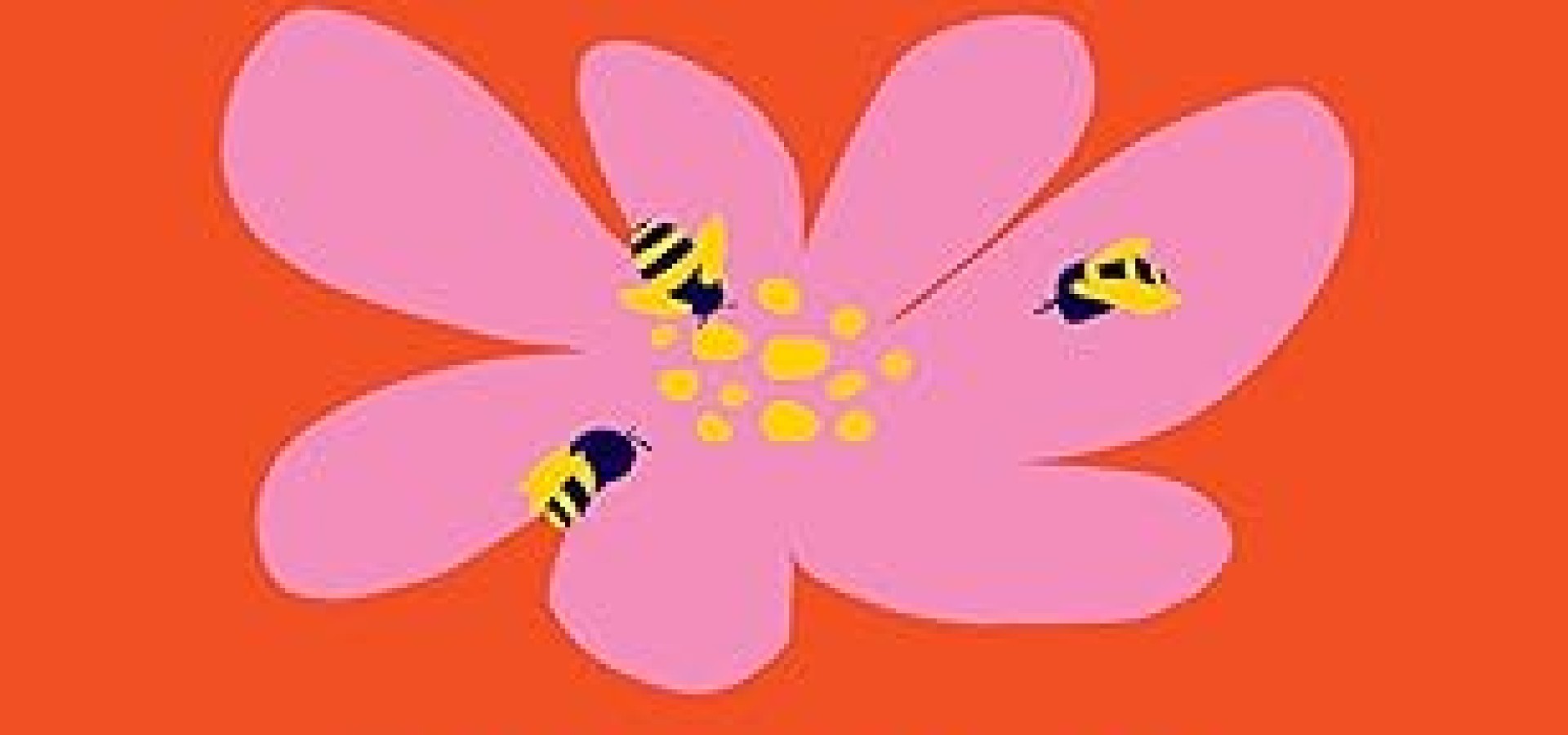 MORE: A Memoir of Open Marriage