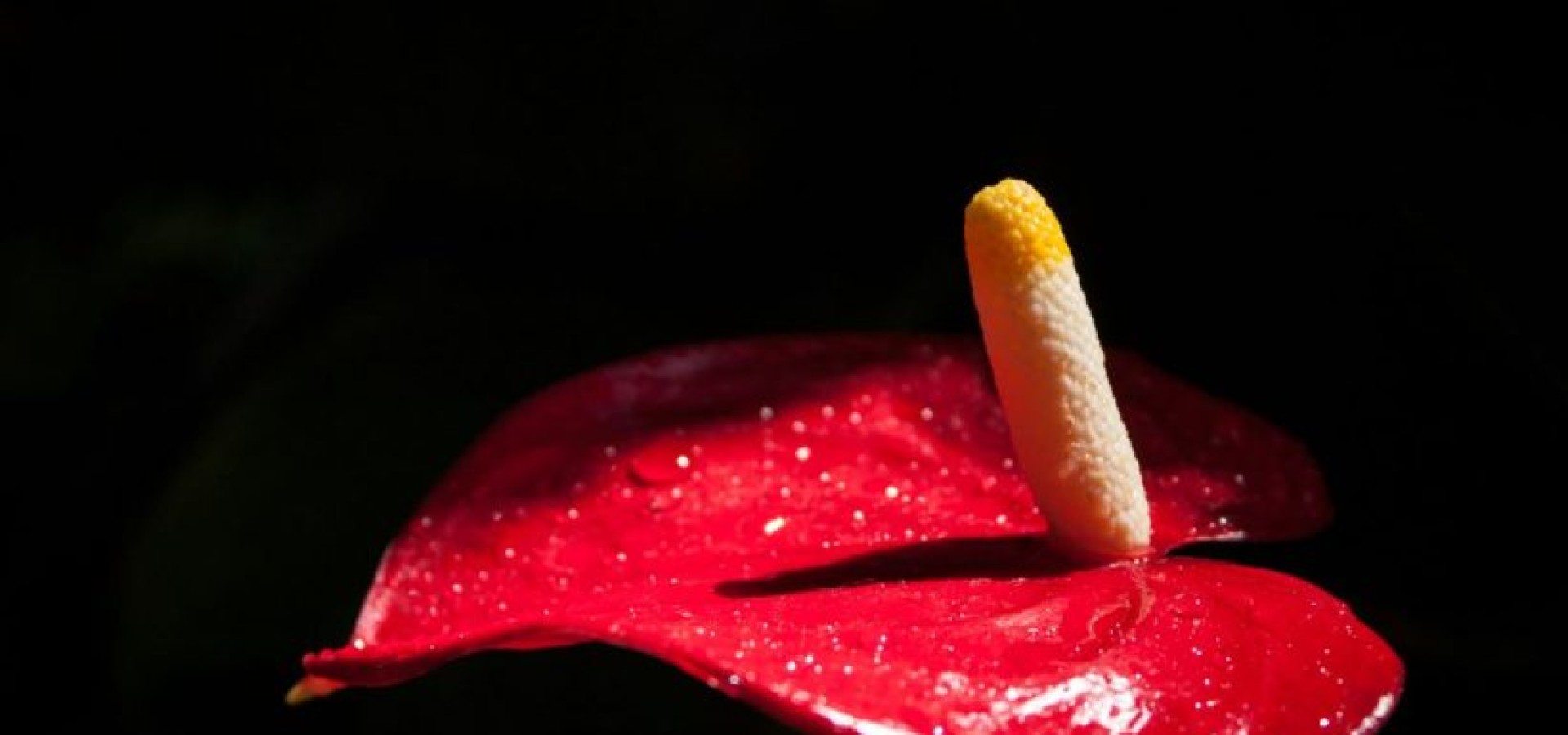 Τι να κάνεις αν έχει(ς) πολύ μεγάλο και χοντρό μόριο