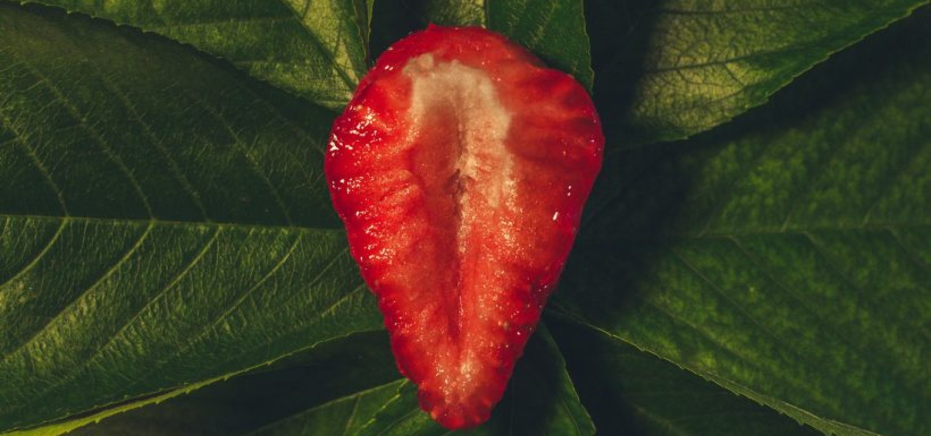 Οι στάσεις που επιλέγουν οι νάρκισσοι στο σ#ξ (και γιατί)