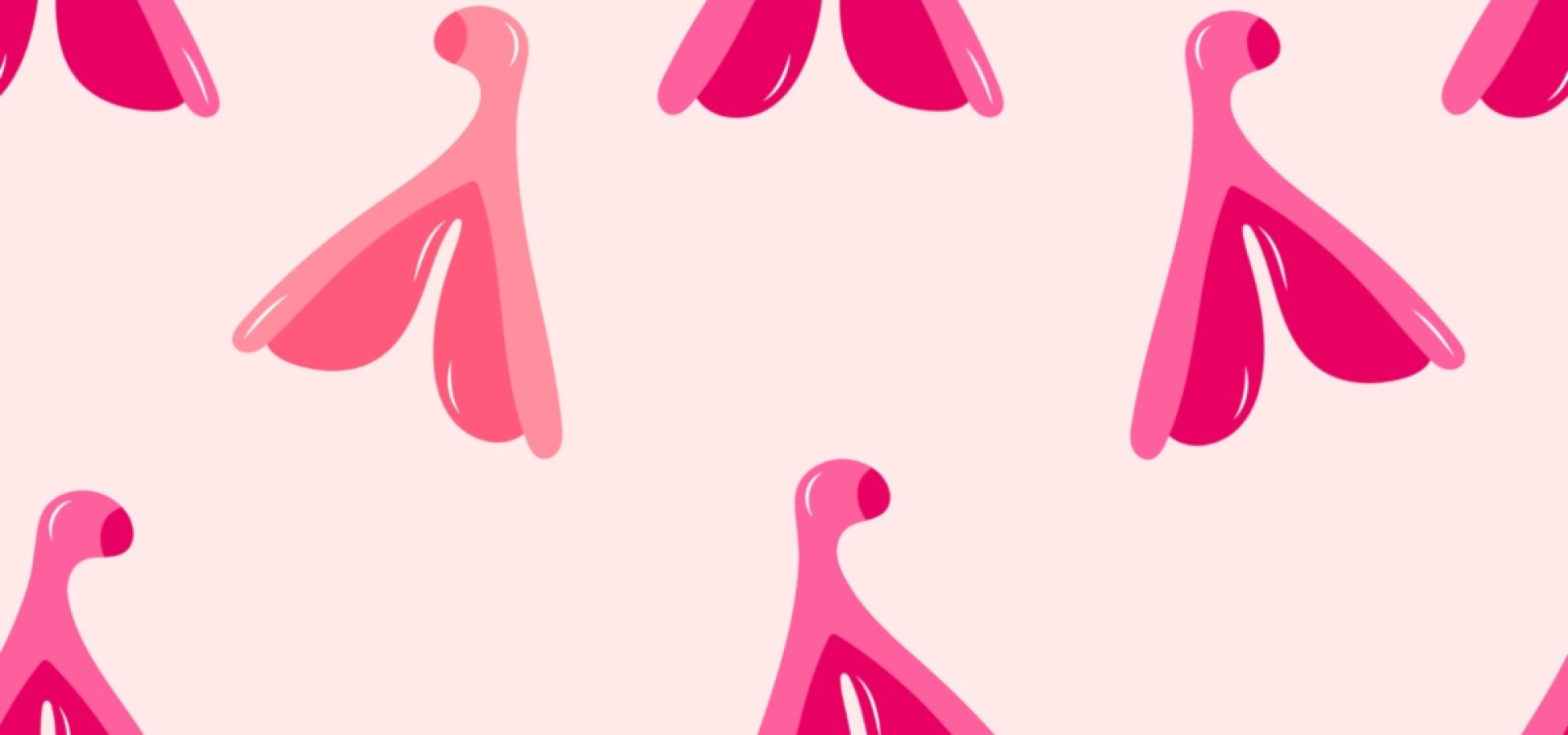 Κλειτορίδα: Η επιστήμη χαρτογράφησε πλήρως το «δέντρο» της ηδονής