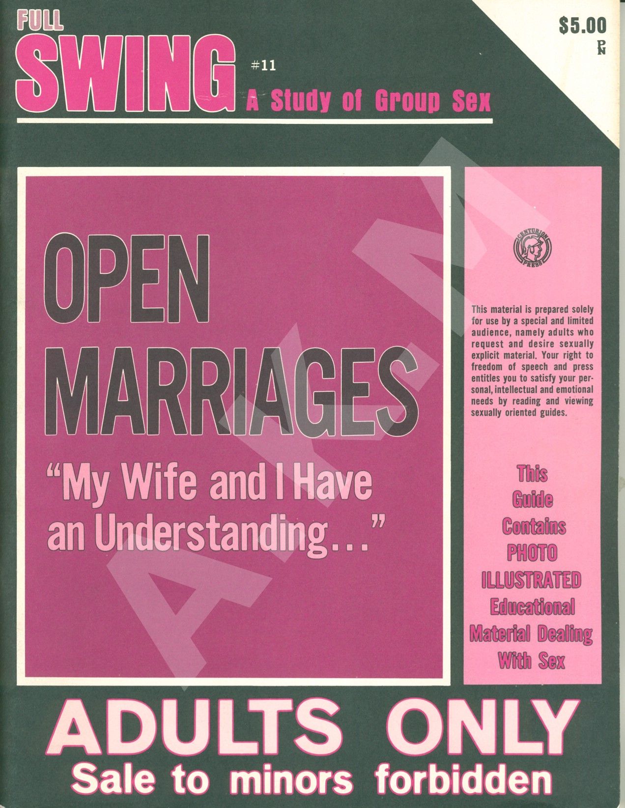 Full Swing: A Study of Group Sex 11.3 (1973)