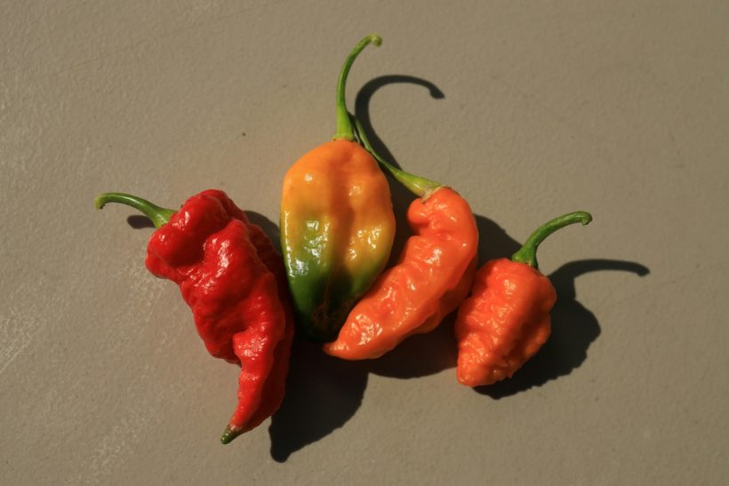 6 τροφές που σε αδυνατίζουν και σε καuλώνουν ταυτόχρονα!