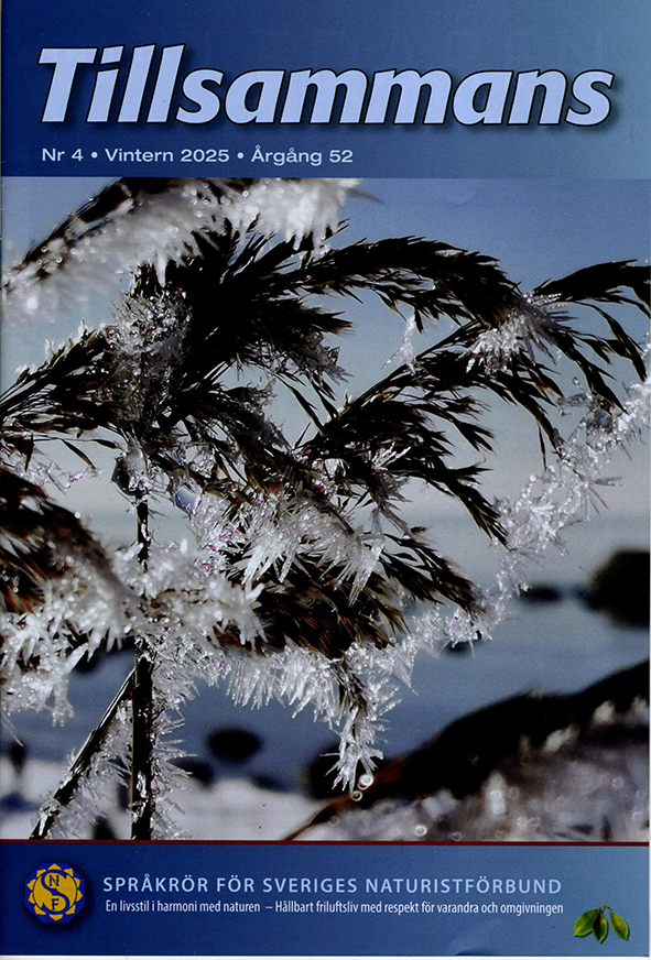 Tillsammans Nr. 4 • Vintern 2025 • Årgang 52