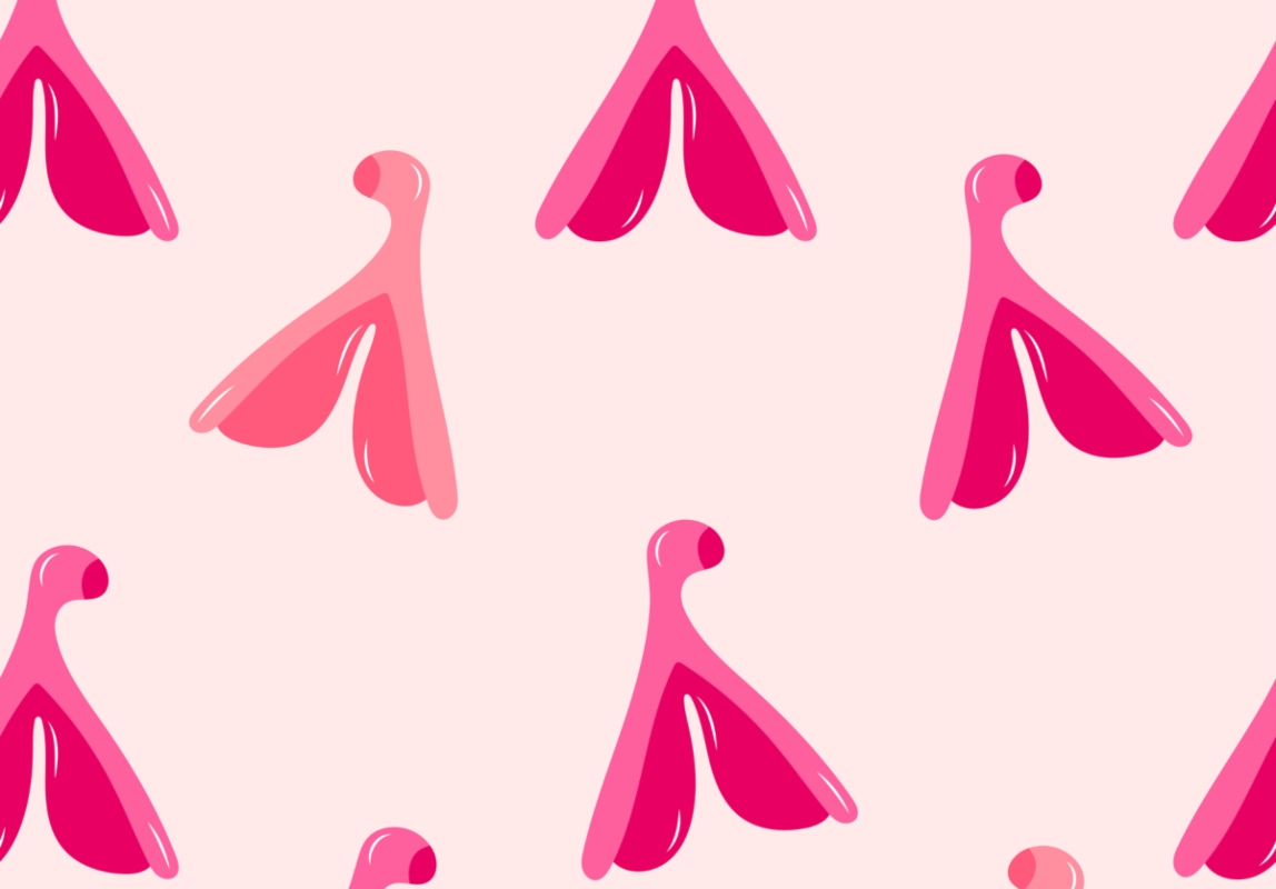 Κλειτορίδα: Η επιστήμη χαρτογράφησε πλήρως το «δέντρο» της ηδονής